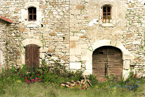 Woodpile and Wildflowers