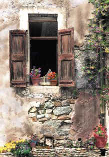 Birdcage in the Window