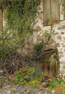 Wagon Wheel Garden